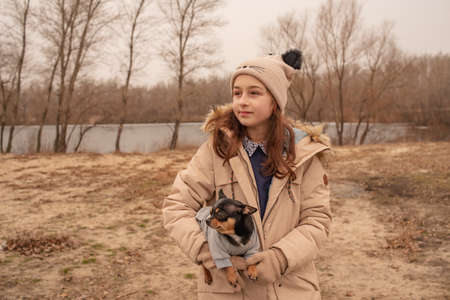 Teenage girl and chihuahua dog. School-age girl and her pet in the park in nature. Love for animals.の写真素材