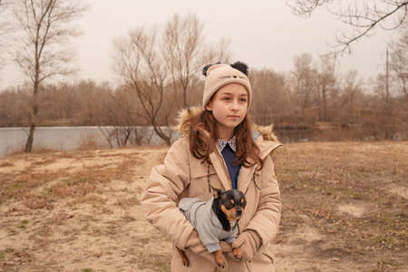 Teenage girl and chihuahua dog. School-age girl and her pet in the park in nature. Love for animals.の写真素材