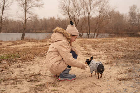 Teenage girl and chihuahua dog. School-age girl and her pet in the park in nature. Love for animals.の写真素材
