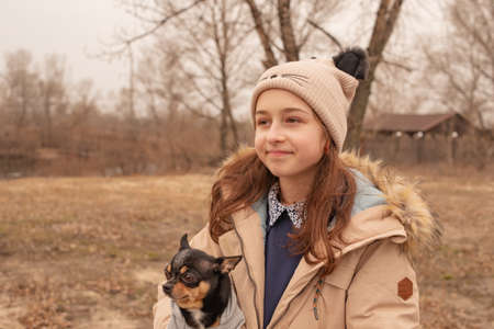 Teenage girl and chihuahua dog. School-age girl and her pet in the park in nature. Love for animals.の写真素材