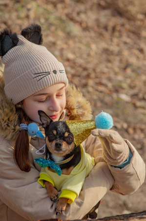 Outdoor portrait of 10- 11 year old girl wearing warm beige jacket with a chihuahua dog. birthdayの写真素材