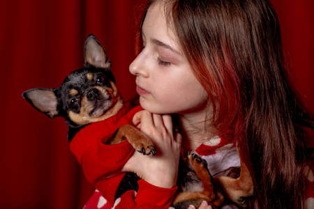 Teenage girl and a chihuahua dressed in a red sweater for dogs at home against a background of red.の写真素材