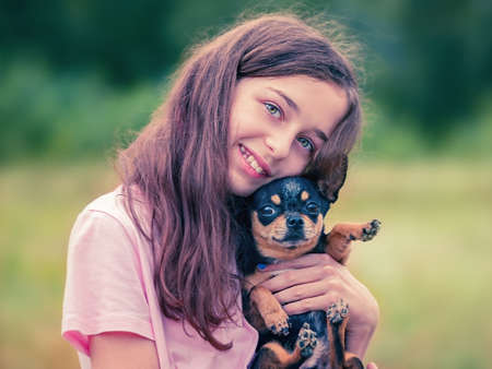dog in the arms of a teenage girl. Chihuahua Dog. black chihuahua.の写真素材