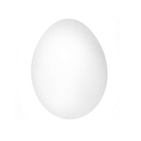 One chicken egg closeup. White egg isolated on white backgroundの写真素材