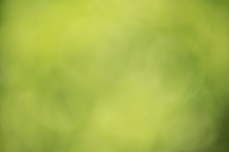 Organic and natural concept. Defocus blurred green natural background composed of green foliage.