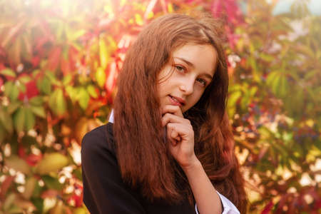 Schoolgirl. Portrait of a girl 11 years old with long hair in the fall on background of red leaves.の写真素材