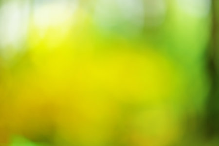 Organic concept. Natural green defocus light nature abstract background.の写真素材