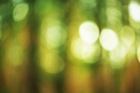 Organic concept. Natural green defocus light nature abstract background.の写真素材