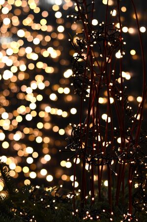 abstract christmas lighting with golden blurry defocused shiny flaresの写真素材