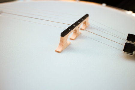 banjo strings and bridge close-up in the evening natural light