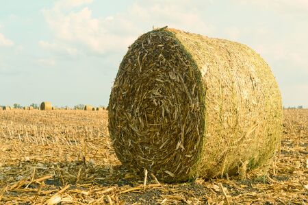 a large bale of hay against a rural landscape after harvestの写真素材