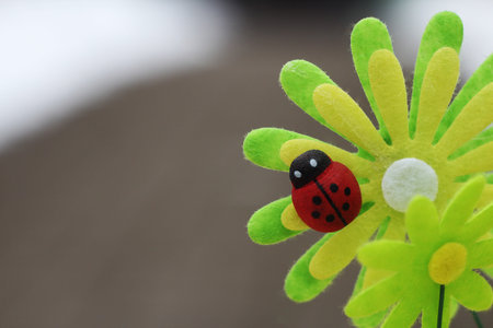 ladybird and flower on neutral blurred background