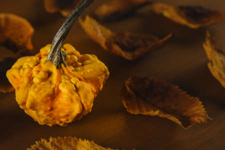 one decorative pumpkin with blurred defocused dry leaves on a wooden table, still life, autumn composition for Halloween holidaysの写真素材
