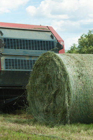 making a large roll of hay for livestock during field work for a farm business