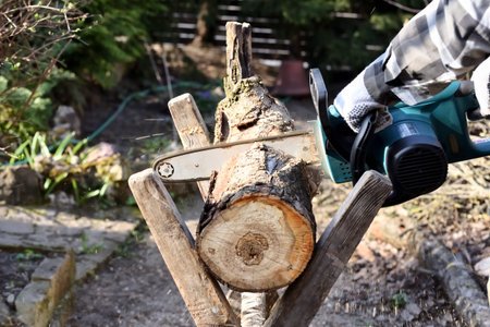 Electric chain saw in action during sawing trunk of garden tree for firewood. Seasonal work in the...