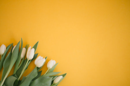 Tulips on yellow for a Womens Day, Mother Day, 8 march or Valentines day. Close-up. The concept of holidays and good morning wishes.の写真素材