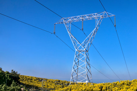 High voltage power lines. Power lines captured against the blue sky and May yellow flowering gorse...