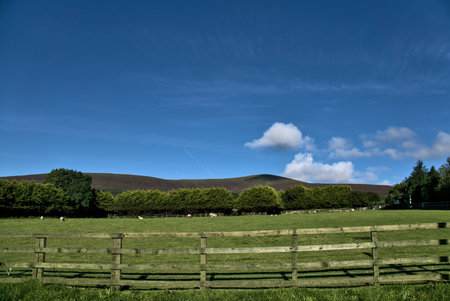 Peaceful farm. Peaceful Irish farm captured against the Wicklow Mountains and clear blue sky, County...
