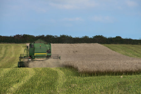 Combine harvester harvesting crops in the green field in September, Co. Wicklow, Ireland