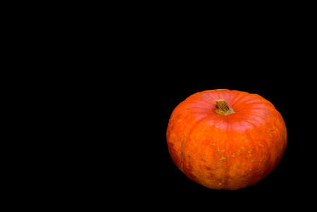 Single isolated pumpkin on black absorbing background with copy space . Simplicity. Minimalism. Beautiful autumn backgroundの写真素材