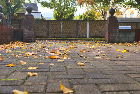 Beautiful low ground view of typical Irish yard with fallen autumn orange leaves on the pavement, Ballinteer, Dublin, Irelandの写真素材