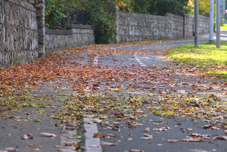 Lots of fallen colorful autumn leaves on sidewalk and cycling path, Dublin, Ireland. Soft and selective focusの写真素材