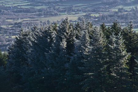 Frozen tall fir trees and aerial Irish countryside landscape viewed from Fairy Castle (Two Rock...
