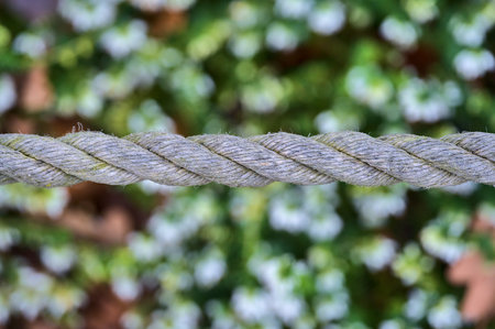 Beautiful close up view of old common natural fibers rope on green spring background with soft and selective focus. Rope fence and edging in garden, Dublin, Irelandの写真素材