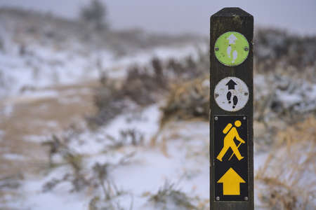 Beautiful view of hiking trail marker (blaze) on wooden pole against beautiful frozen gorse flowers along path to Fairy Castle (Two Rock Mountain), Dublin Mountains, Irelandの写真素材