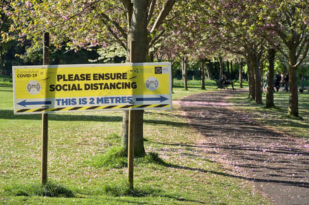 Dublin, Ireland - March 29, 2021: Beautiful spring view of blooming pink cherry (Prunus Shogetsu Oku Miyako) trees almost empty alley and social distancing COVID-19 notification sign in Herbert Parkのeditorial素材