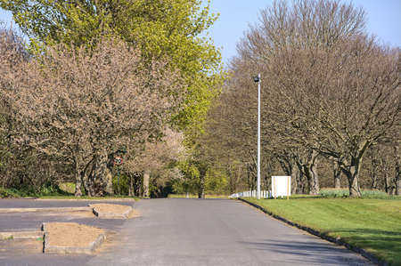Beautiful view of asphalt road with spring trees along it, and road sign of maximum allowable speed of 20 km per hour in Howth, Dublin, Ireland. Soft and selective focusの写真素材