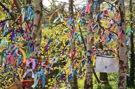 Be Love, We Are Love. Beautiful closeup view of many ribbons of different colors tied on branches of spring birch tree seen at university campus, Dublin, Ireland. Soft and selective focusの写真素材