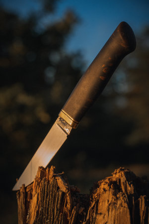 Knife on a stump in the sunset light. Selective focus.の写真素材