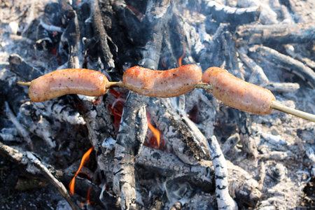 Sausages on stick frying on camp fire. Picnic near the forest on a sunny day.の写真素材