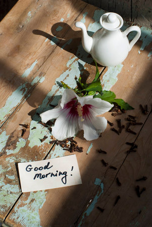 Pictures of sunny summer morning with beautiful flower, on old table with decorations  の写真素材