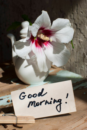 Pictures of sunny summer morning with beautiful flower, delicious turkish coffee on a rusted old table with decorations. の写真素材