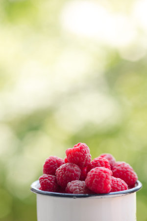enamel vintage cup full of raspberries, summer taste