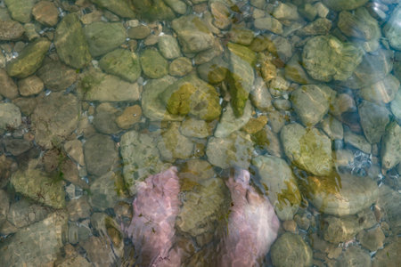 vacation at sea. feet on stones in waterの写真素材