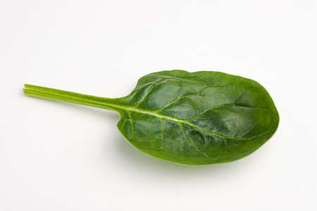 spinach on a white background, isolatedの写真素材