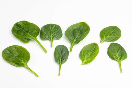 spinach on a white background, isolatedの写真素材