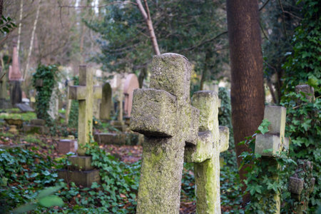Gravestones at Highgate cemetery London