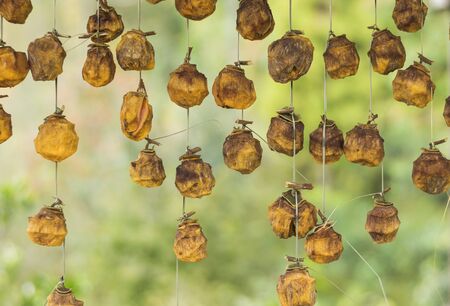 Process of making dried persimmon in georgian villageの写真素材