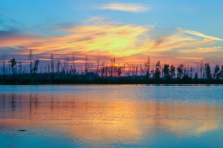 magic colors sunset on the lake image forestの写真素材