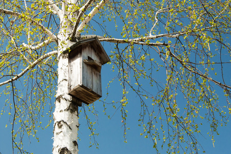 Nesting box on the tree bright sunny day blue sky.の写真素材