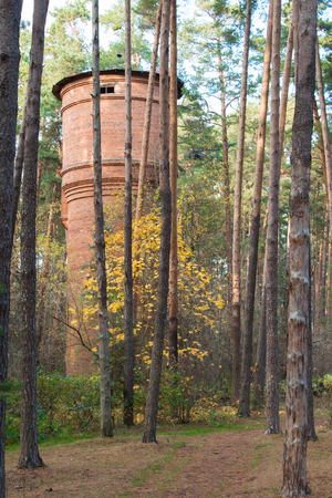 Old abandoned brick water tower in the autumn forest.の写真素材