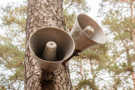 Loudspeakers on the trunk of coniferous trees in the autumn.の写真素材