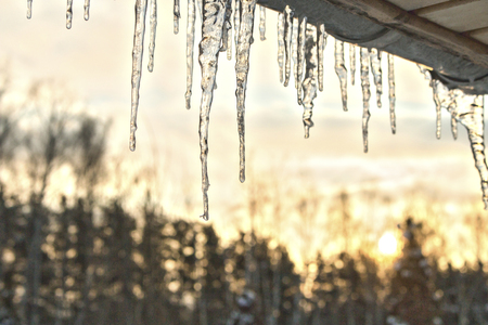 Sparkling icicles hanging from the roof of a wooden veranda against the background of sunset a coniferous deciduous forest.の写真素材