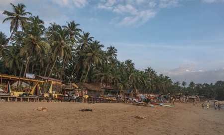 Palolem is one of the most beautiful beaches in Goa, surrounded by palm trees, picturesque hills and washed by the clear azure seaのeditorial素材