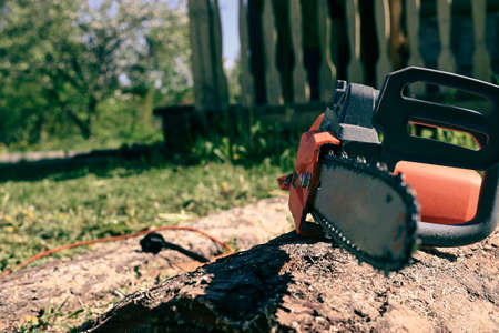 electric saw on a board against a background of greeneryの写真素材