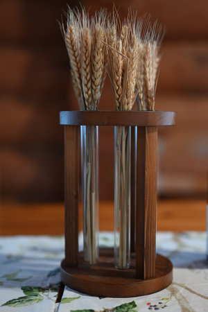 wheat spikelets in glass flasks on a wooden tableの写真素材